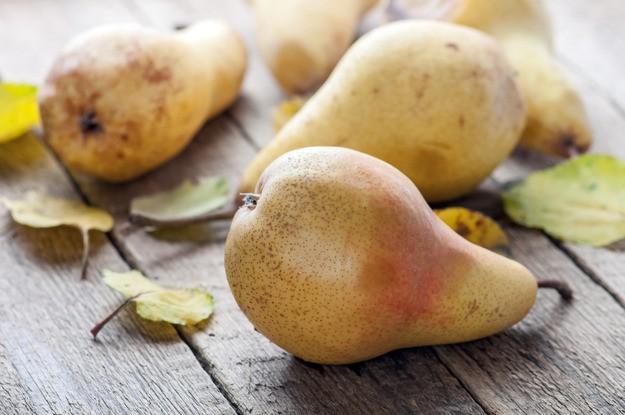 How to store pears at home