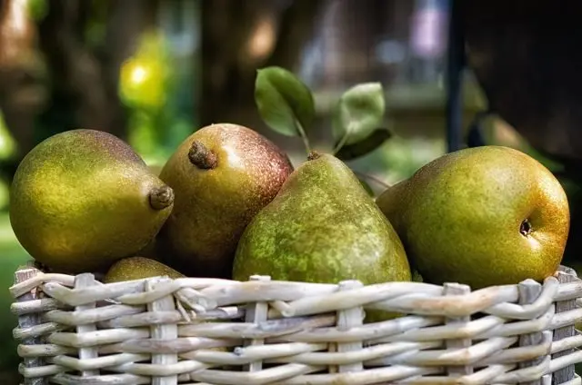 How to store pears at home