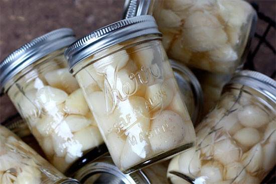 How to store peeled garlic 