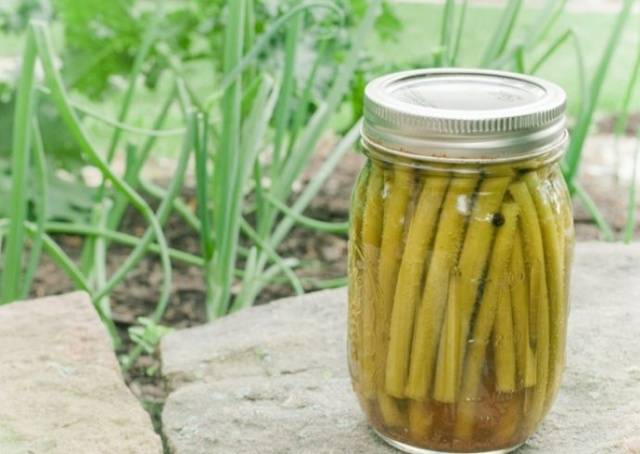 How to store peeled garlic 