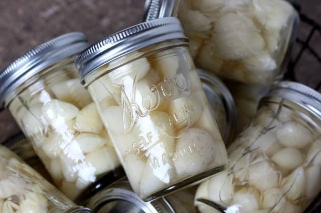 How to store peeled garlic 