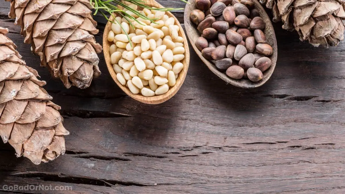 How to store pine nuts peeled and in cones