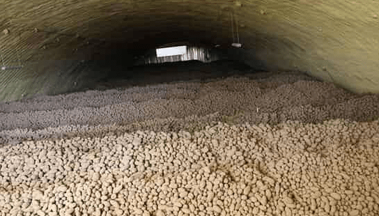 How to store potatoes in the cellar in winter 