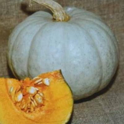 How to store pumpkin at home in winter