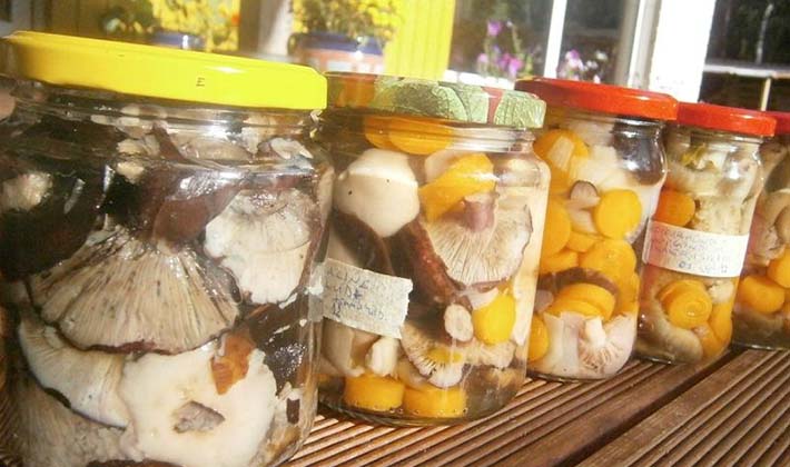 How to store salted milk mushrooms at home