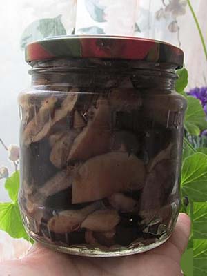 How to store salted milk mushrooms at home