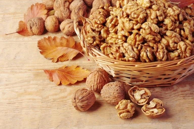 How to store shelled walnuts so that the kernels do not spoil