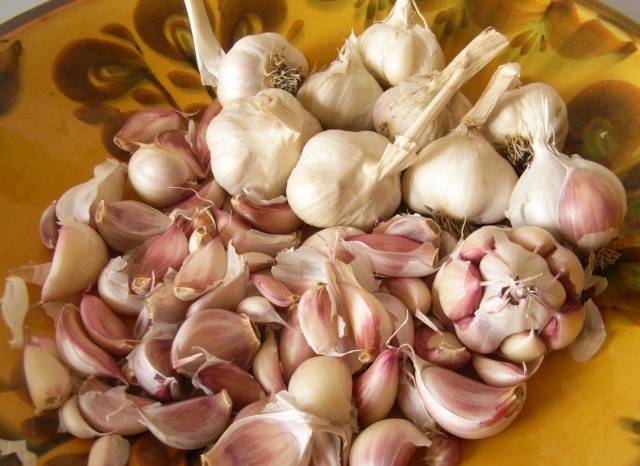 How to store spring garlic