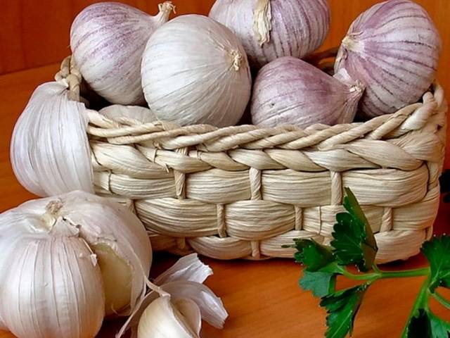 How to store spring garlic