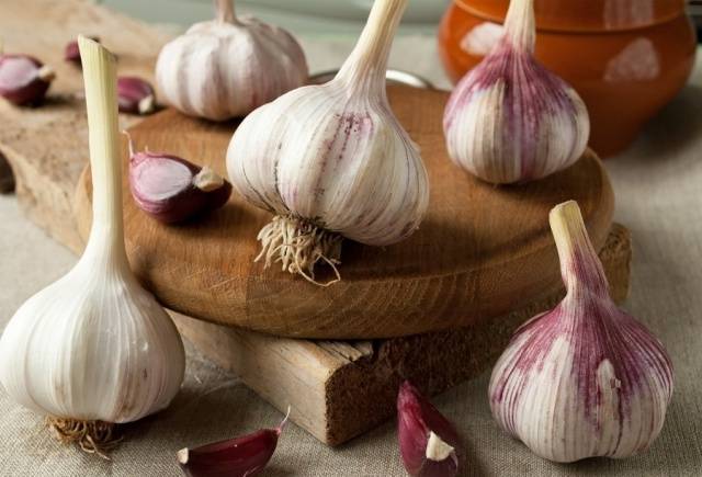 How to store spring garlic