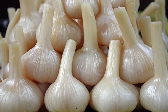 How to store spring garlic