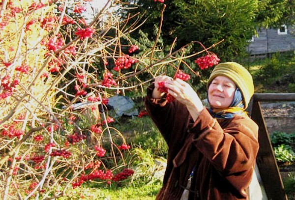 How to store viburnum at home: preparations for the winter