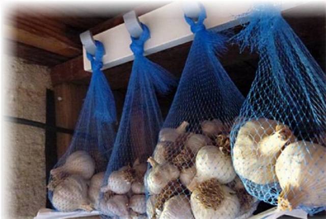 How to store winter garlic at home 