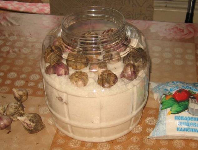 How to store winter garlic at home 