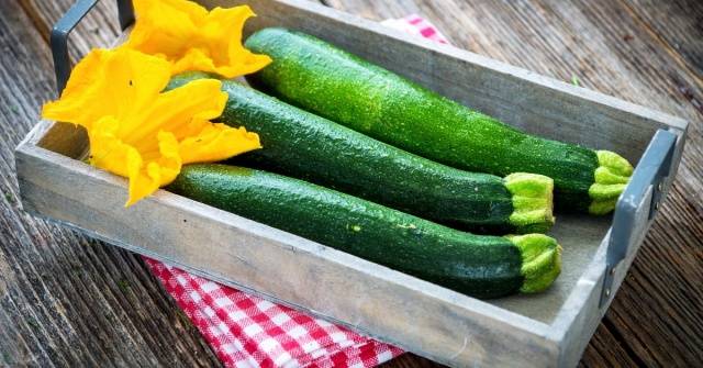 How to store zucchini at home