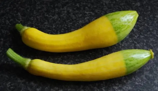 How to store zucchini at home