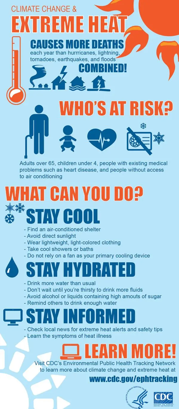 How to survive the heat? [INFOGRAPHICS]