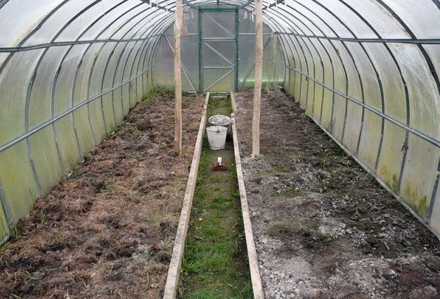 How to treat a greenhouse in the spring from phytophthora: solutions