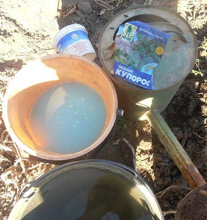 How to treat a greenhouse with copper sulphate in spring: processing walls, ground