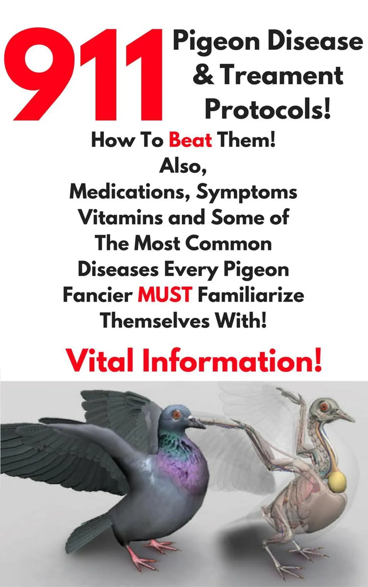 How to treat pigeon disease