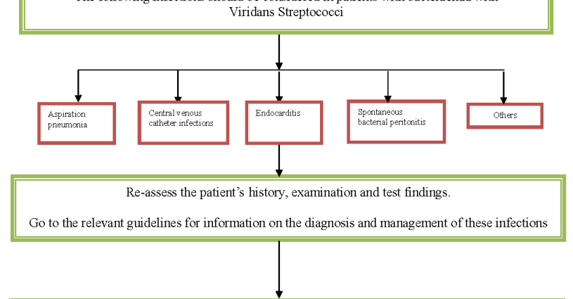 How to treat streptococcus viridans?