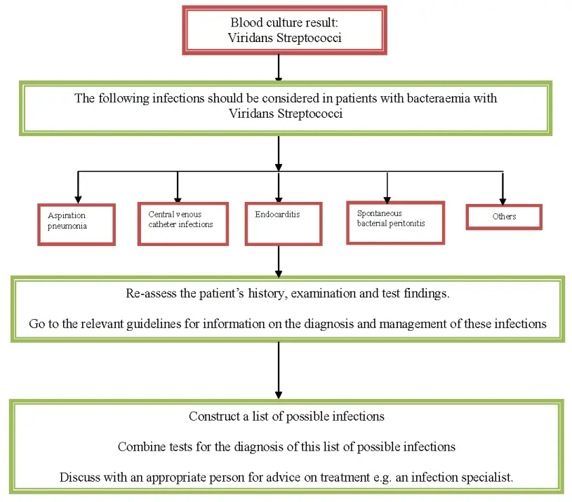 How to treat streptococcus viridans?