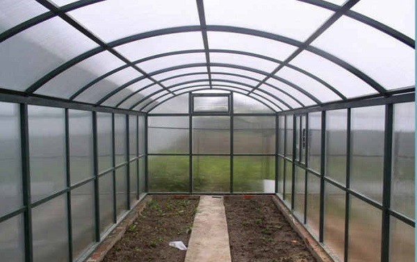 How to treat the greenhouse after winter and why is it needed?