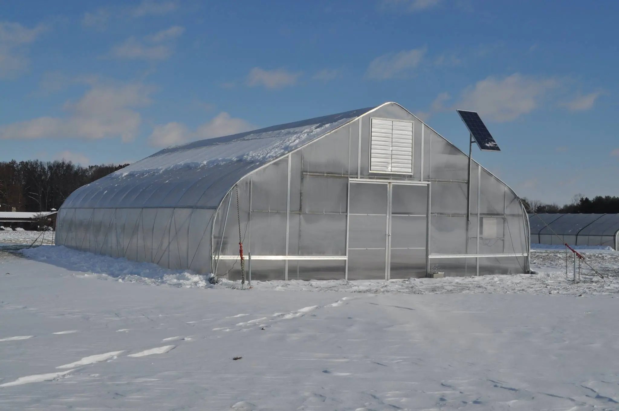 How to treat the greenhouse after winter and why is it needed?