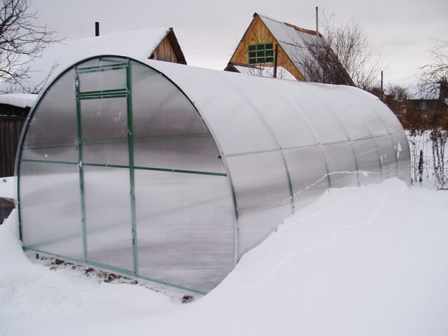 How to treat the greenhouse in the fall after harvest