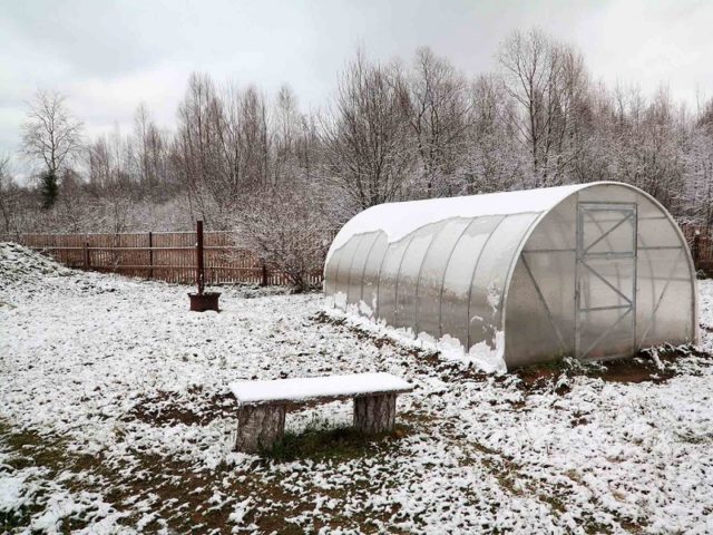 How to treat the greenhouse in the fall after harvest