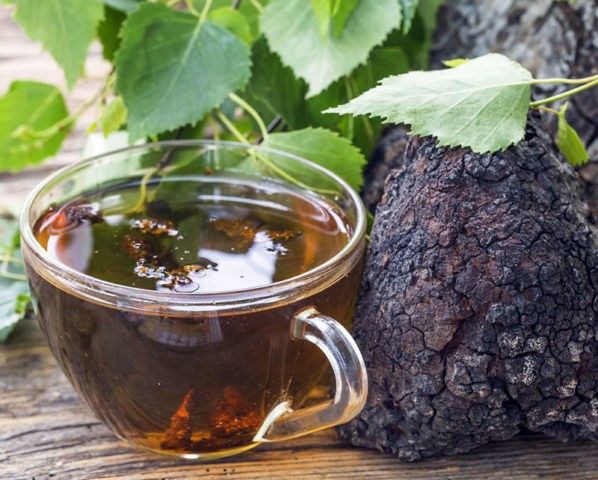 How to treat the liver with chaga: with cirrhosis and hepatitis, reviews of the fungus