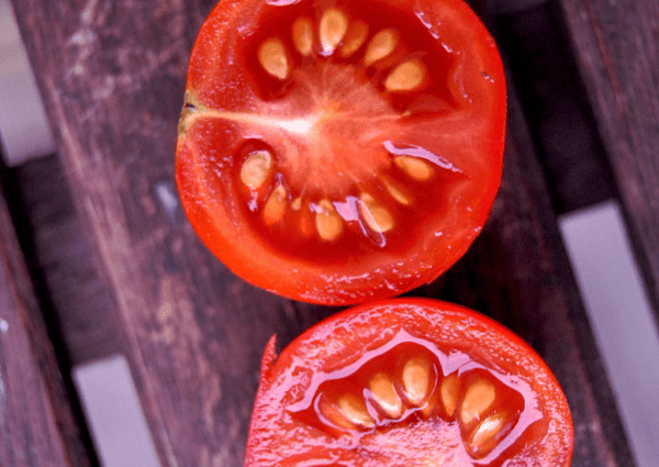 How to treat tomato seeds before planting