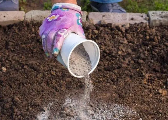 How to use ashes as fertilizer