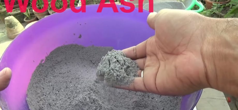 How to use ashes as fertilizer