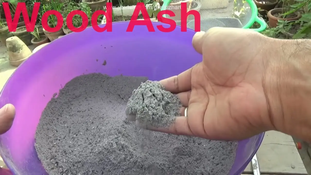 How to use ashes as fertilizer