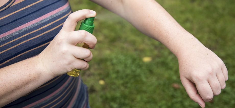 How to use mosquito repellent? The expert says what works best to repel mosquitoes