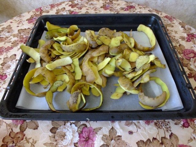 How to use potato peels as a fertilizer: for which plants, for flowers