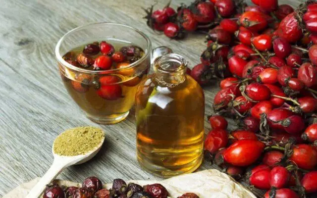 How to use rosehip oil: for the face from wrinkles, acne, reviews