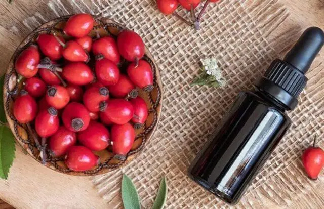 How to use rosehip oil: for the face from wrinkles, acne, reviews