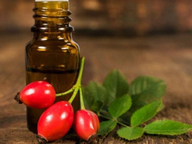 How to use rosehip oil: for the face from wrinkles, acne, reviews