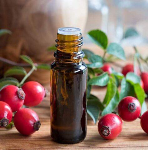 How to use rosehip oil: for the face from wrinkles, acne, reviews