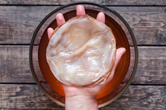 How to wash kombucha: rules and regularity of washing, photo, video