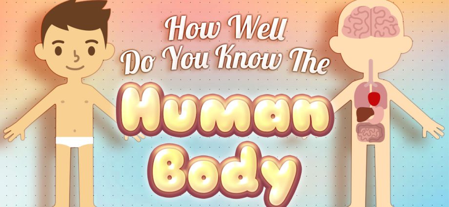 How well do you know your body? Test yourself in the quiz!