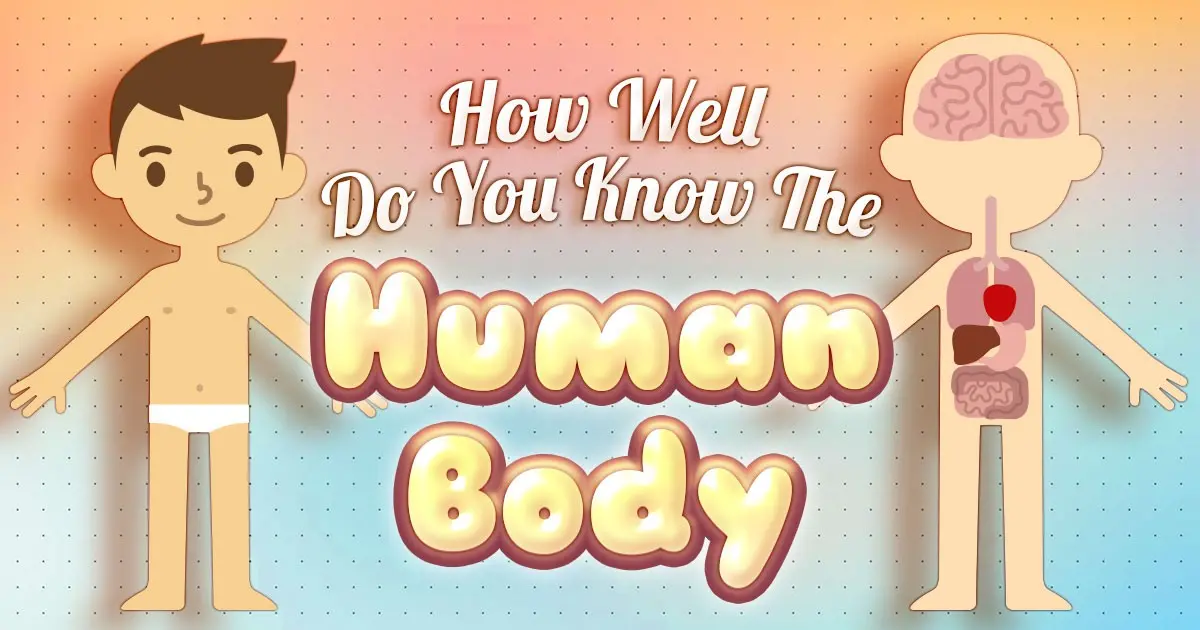 How well do you know your body? Test yourself in the quiz!