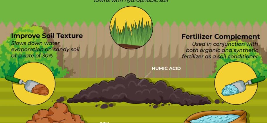 Humic fertilizers: what is it and how to apply it correctly