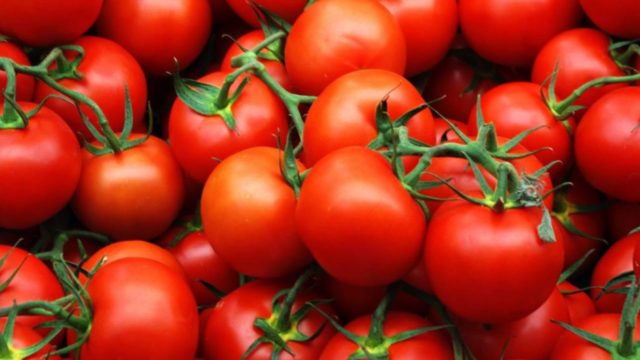 Hurricane F1 variety tomatoes: description, photo, reviews of gardeners