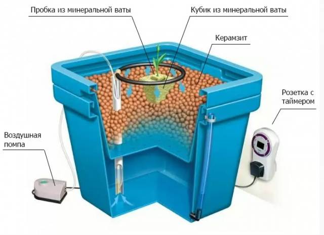 Hydroponics: harm and benefit