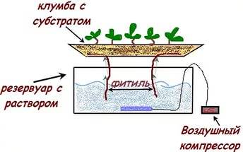 Hydroponics: harm and benefit