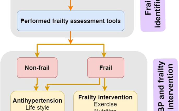 Hypertension in seniors. Prevention and help for the elderly [EXPLAIN]