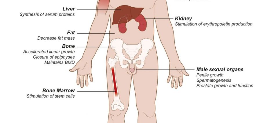 Hypogonadism &#8211; types and symptoms of a defect in the reproductive system